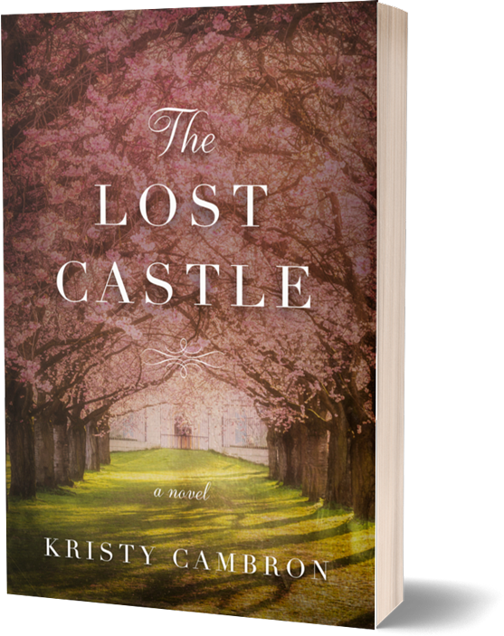 the lost castle by kristy cambron